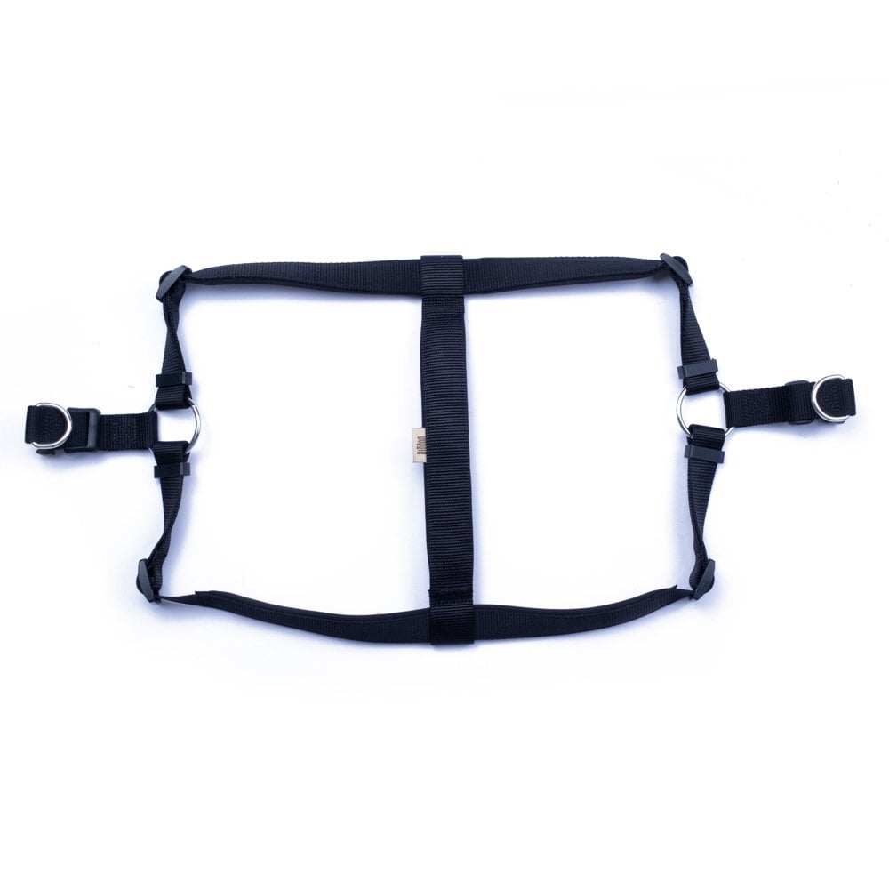 DSGTXXLBLACK-picture2Path