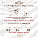 DSGTMROYALBLUE-picture3Path