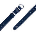 SBT3012MROYALBLUE-picture4Path