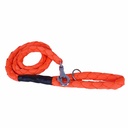 DOGT25MORANGE-picture2Path