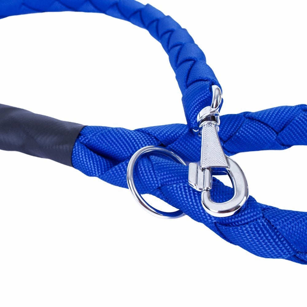 DOGT30MROYALBLUE-picture2Path