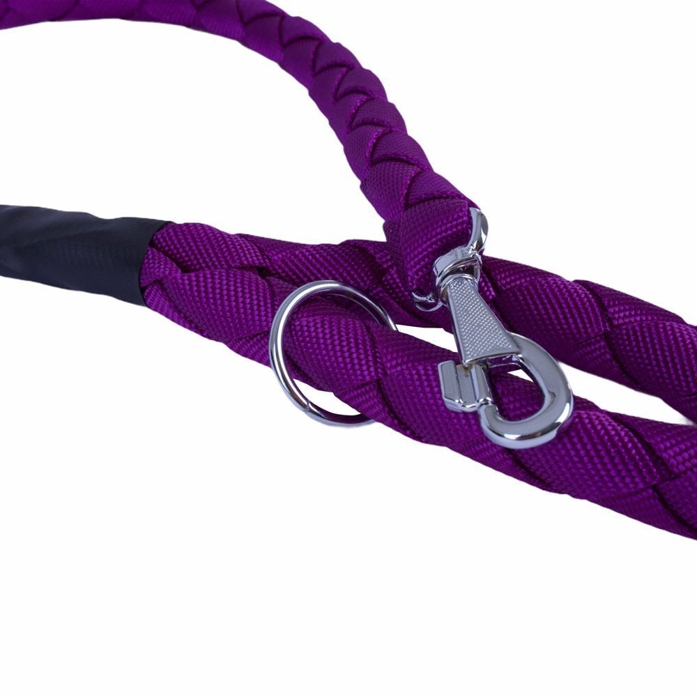 DOGT30MPURPLE-picture2Path
