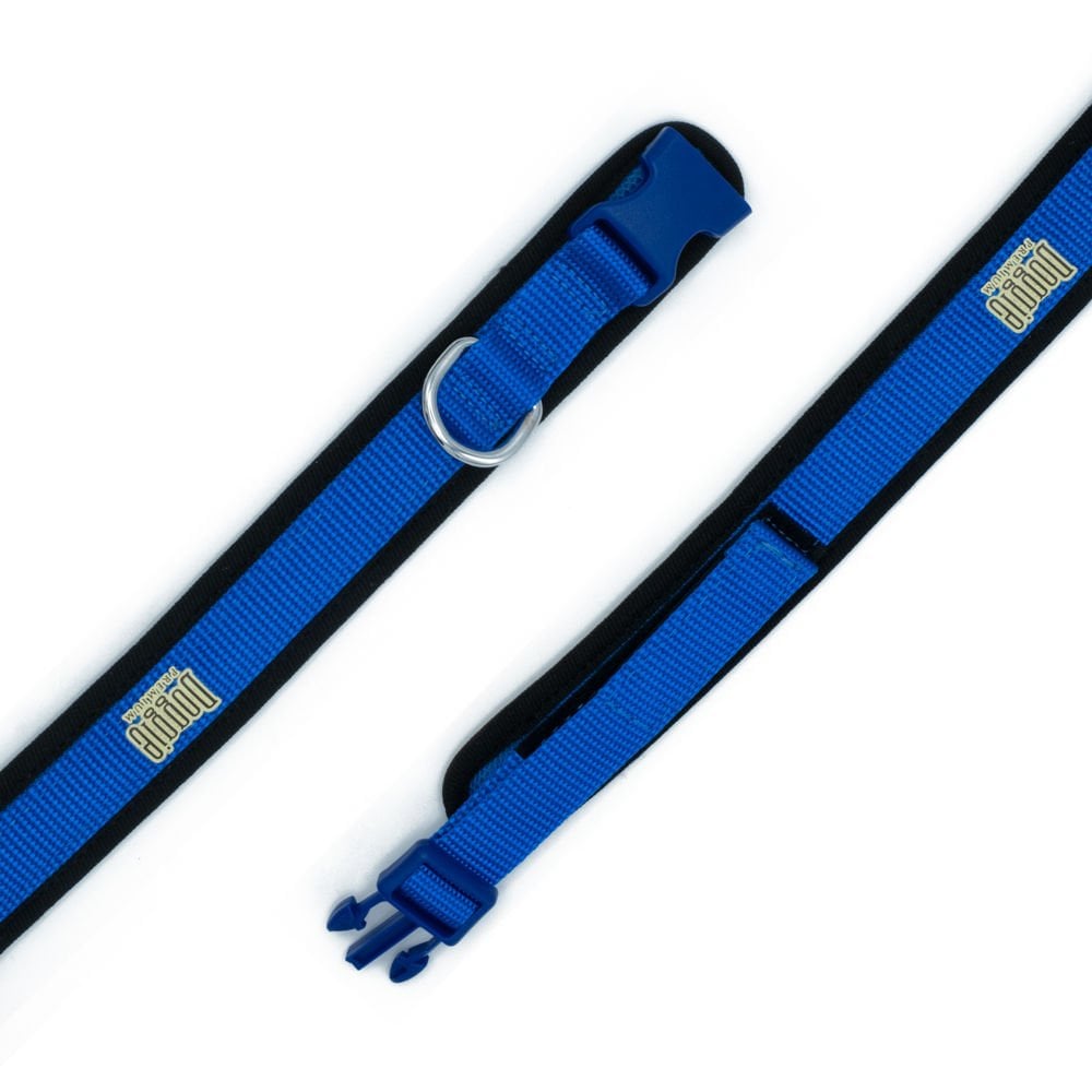 ADBT2010MROYALBLUE-picture2Path