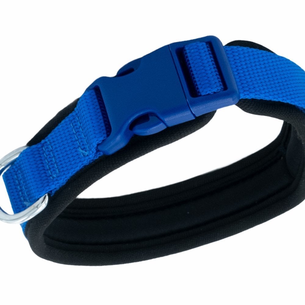 ADBT2510MROYALBLUE-picture3Path