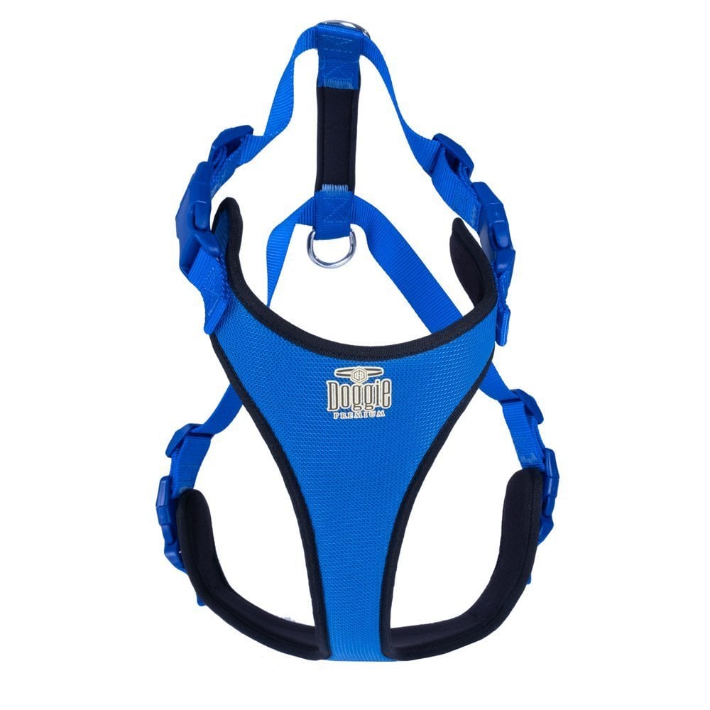 ADGTLROYALBLUE-picture2Path