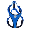 ADGTLROYALBLUE-picture2Path