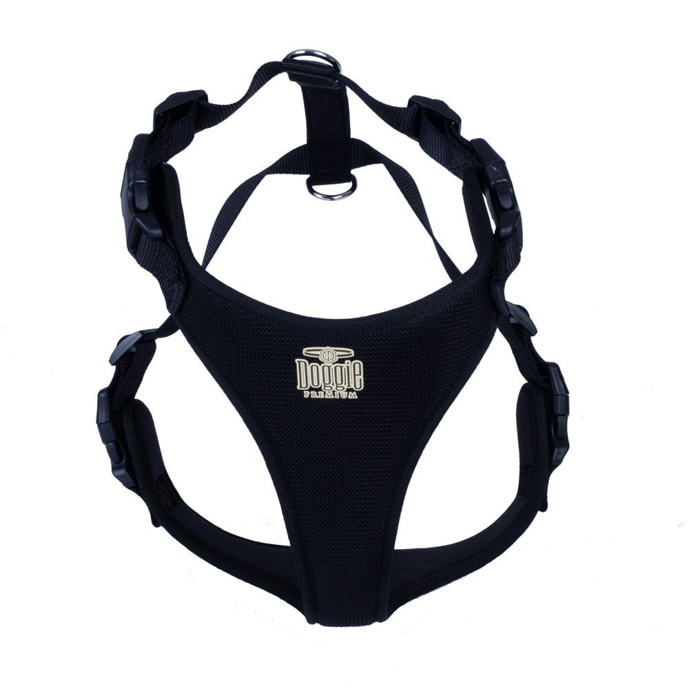 ADGTLBLACK-picture2Path