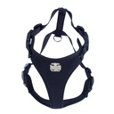 ADGTXXLBLACK-picture2Path