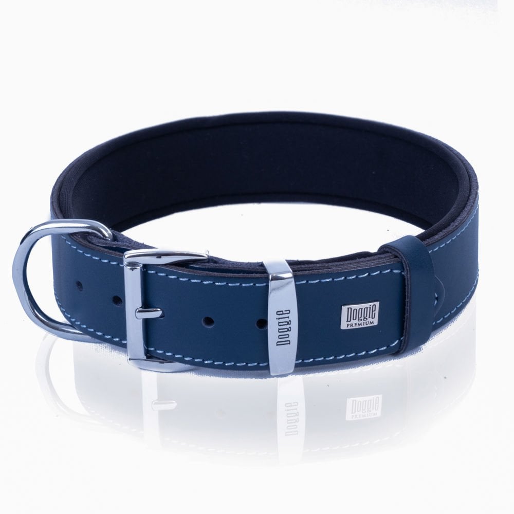 SBT3512MROYALBLUE-picture3Path