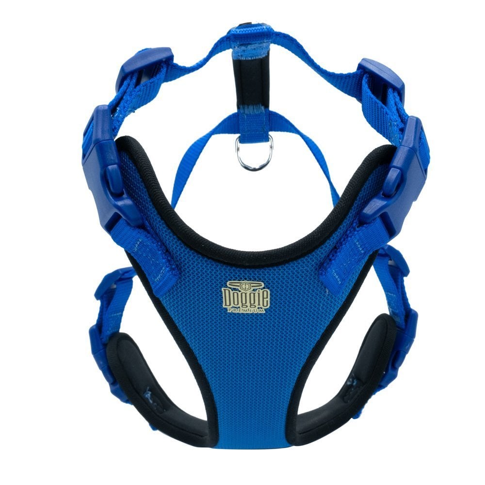 ADGTMROYALBLUE-picture2Path