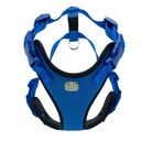 ADGTMROYALBLUE-picture2Path