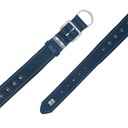SBT3512MROYALBLUE-picture4Path
