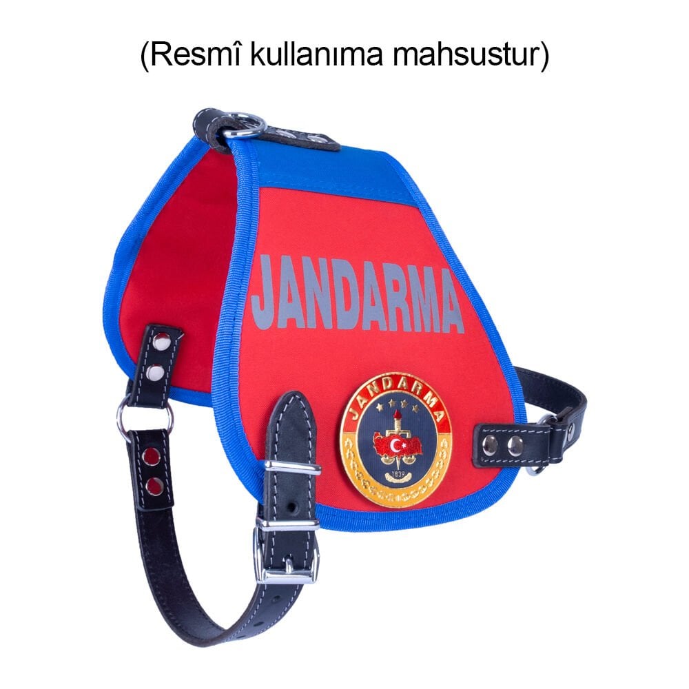 ARMJNGXLRED-picture2Path