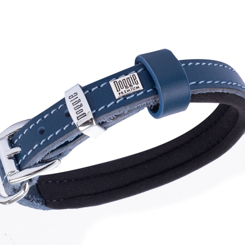 SBT1510SROYALBLUE-picture2Path