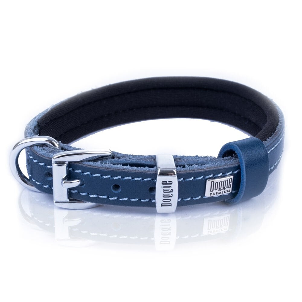SBT1510SROYALBLUE-picture3Path