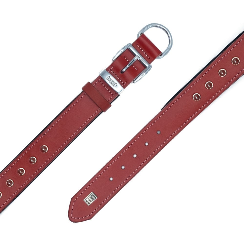 SBT3512LRED-picture4Path