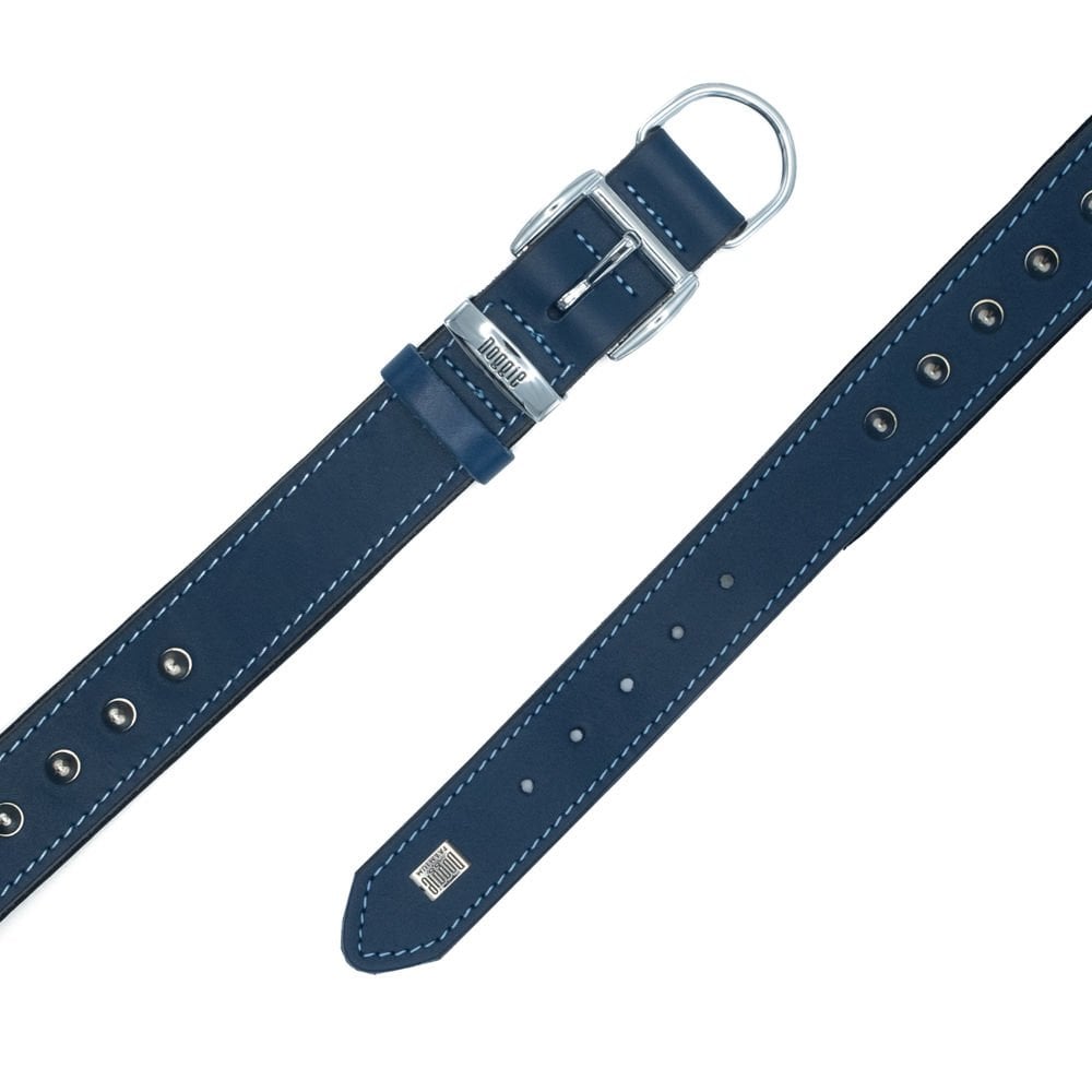 SBT3512LROYALBLUE-picture4Path