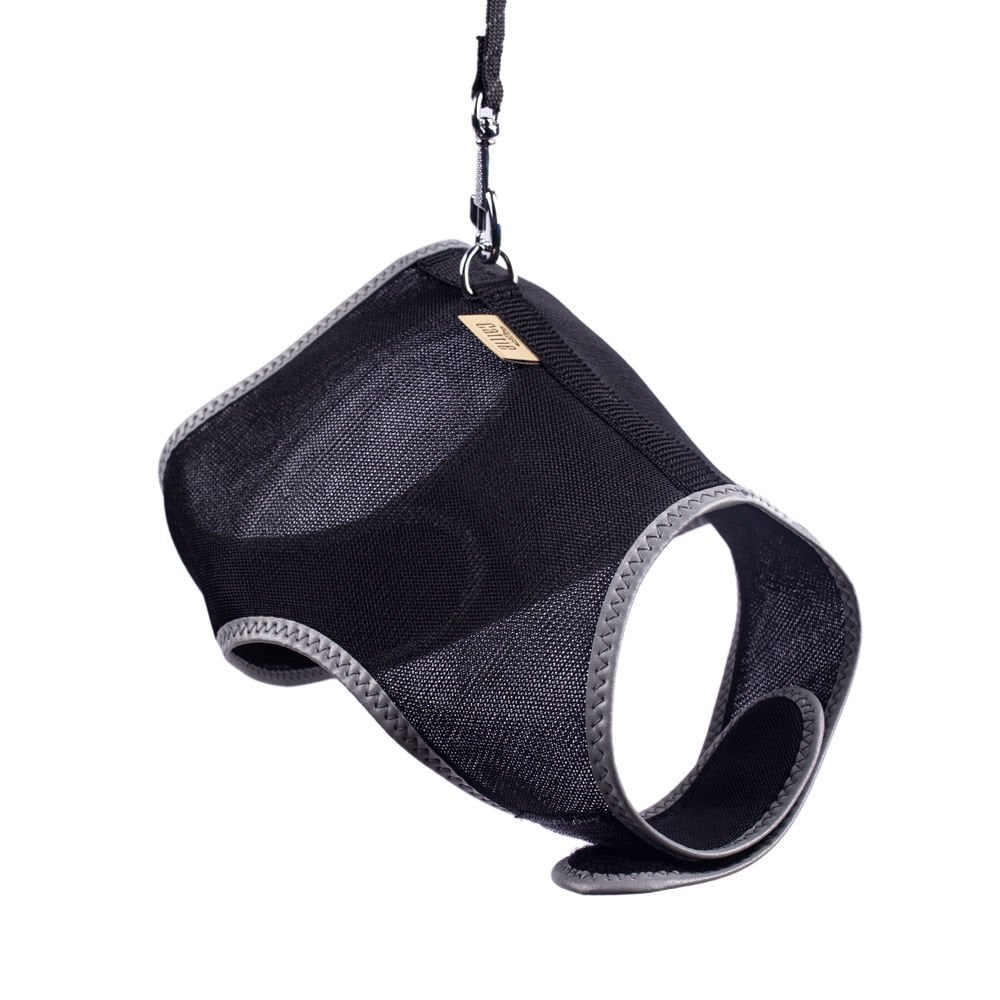 KCTLBLACK-picture2Path