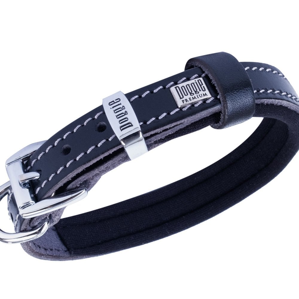 SBT1510MBLACK-picture2Path