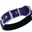 DDBT2510MPURPLE-picture2Path