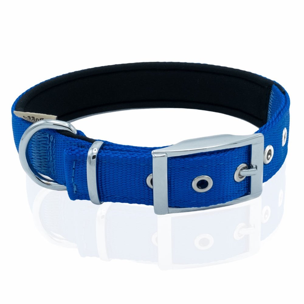 DDBT2510MROYALBLUE-picture3Path