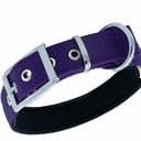 DDBT2510LPURPLE-picture2Path