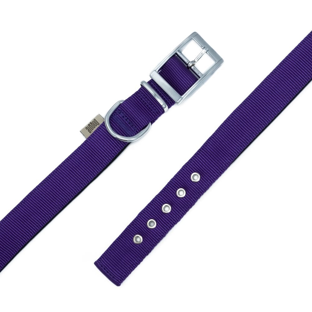 DDBT2510LPURPLE-picture4Path