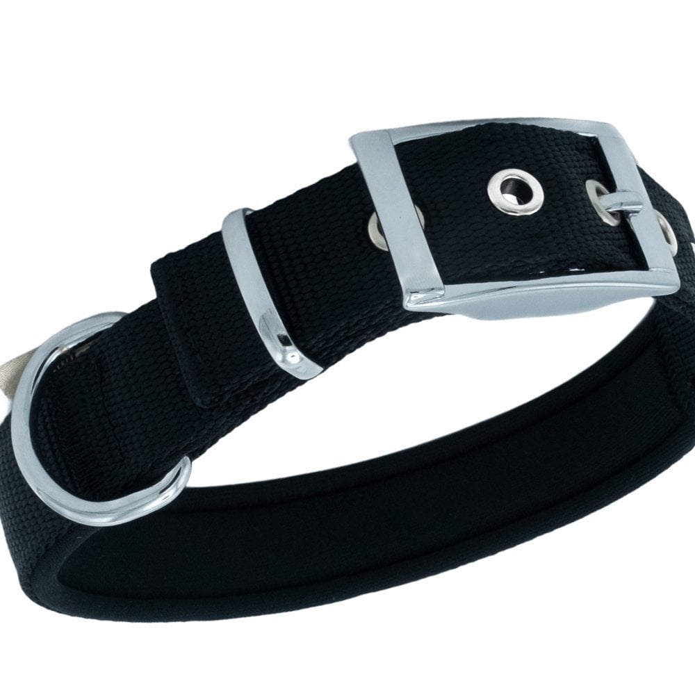 DDBT2510LBLACK-picture2Path