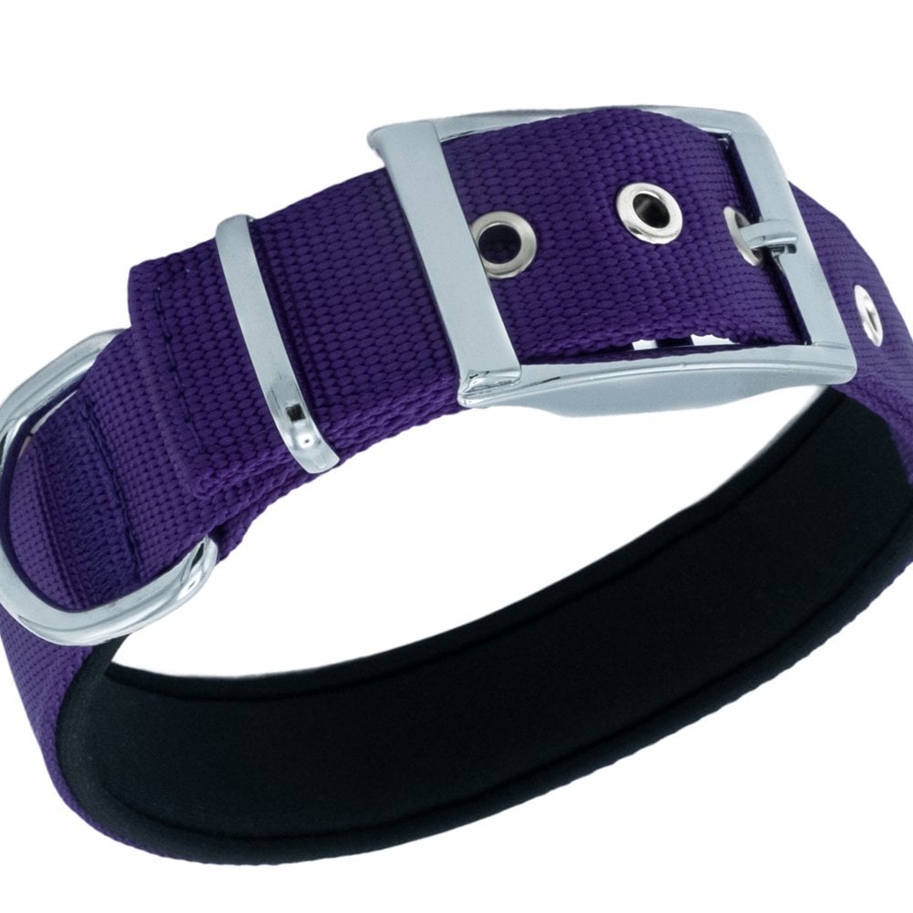 DDBT3010MPURPLE-picture2Path