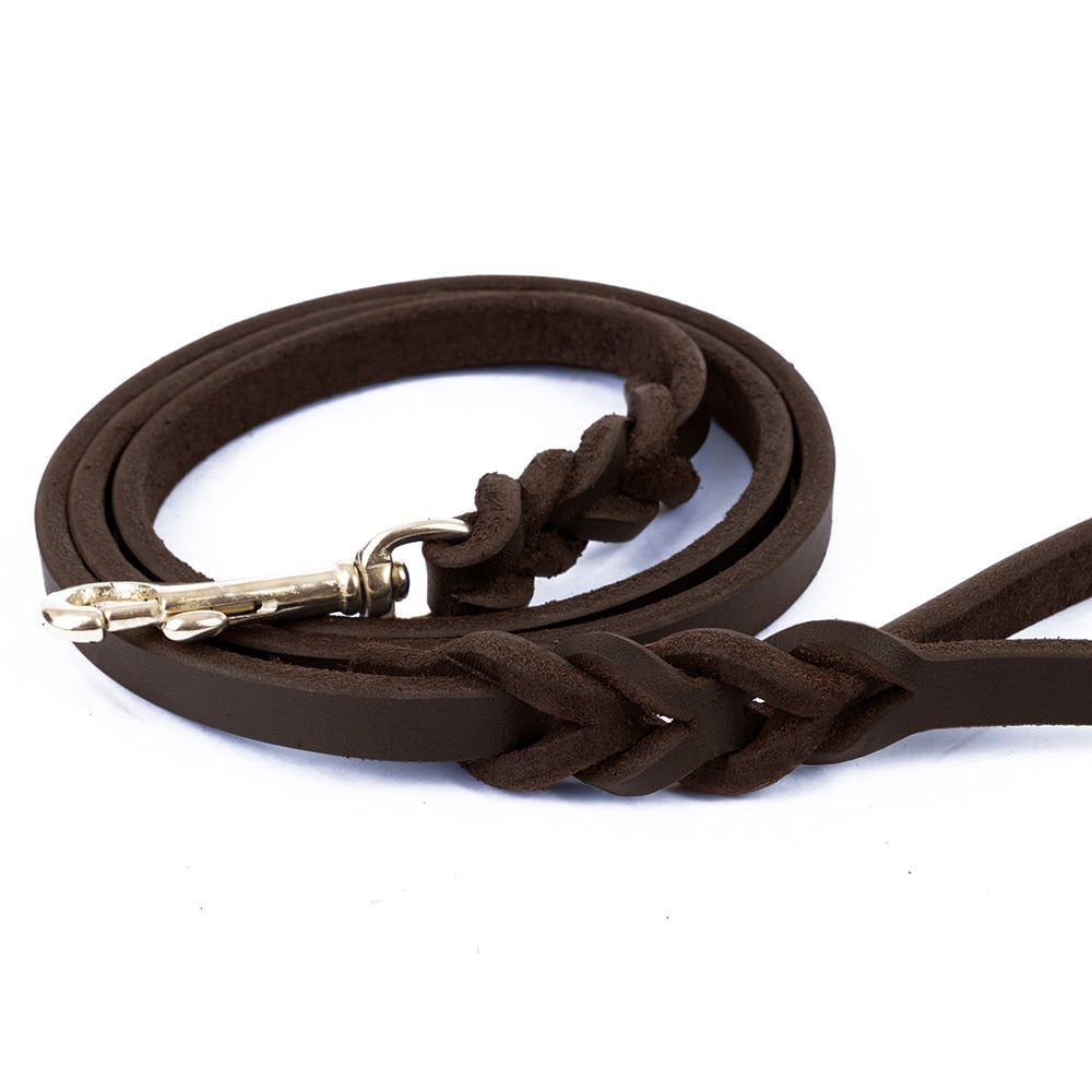 YOEGT11MOILCHESTNUT-picture3Path