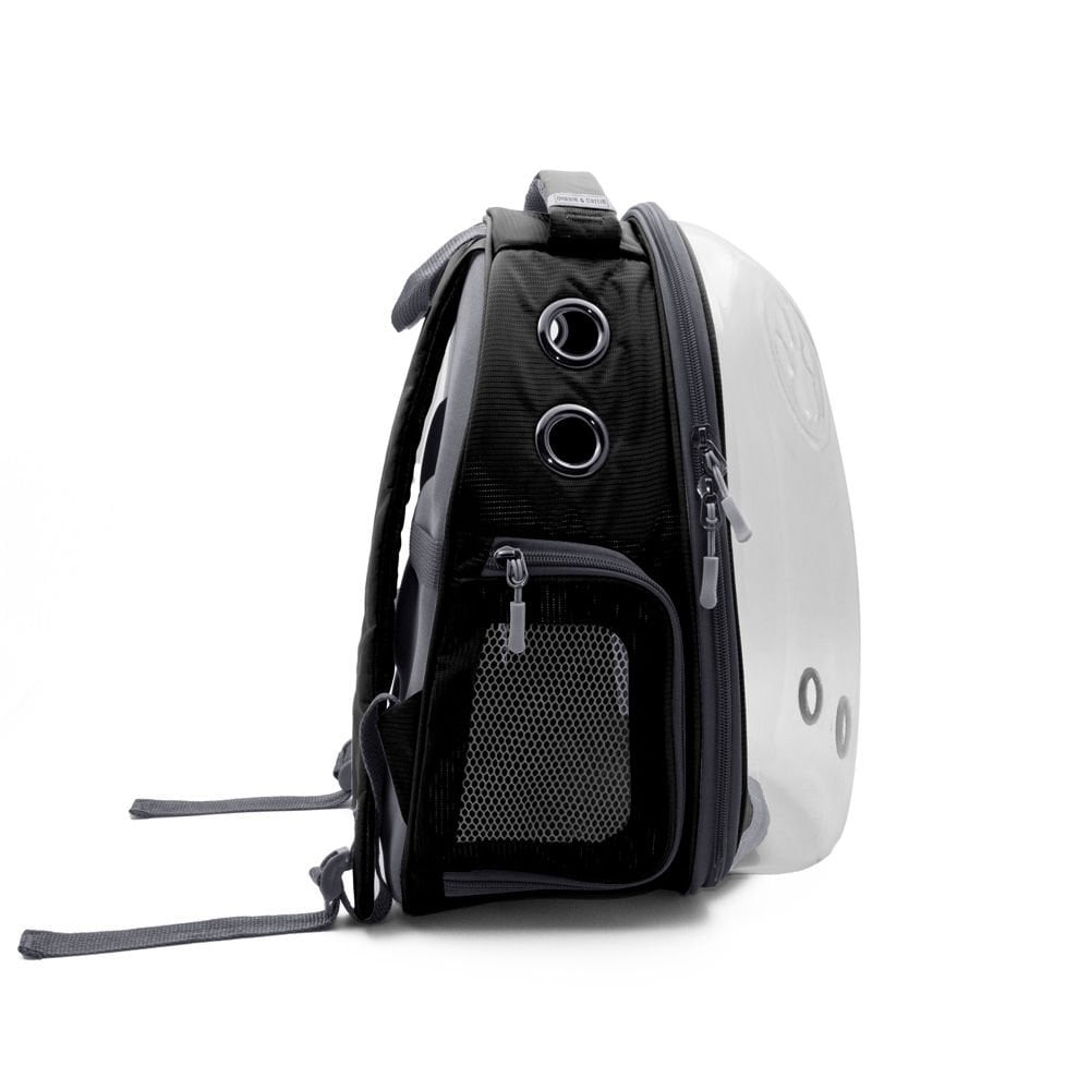 NEWVISIONBLACK-picture3Path