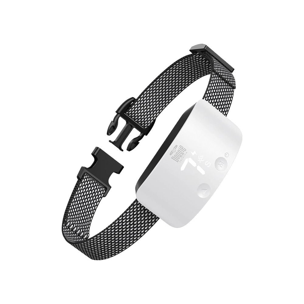 BARKTRAINWHITE-picture2Path