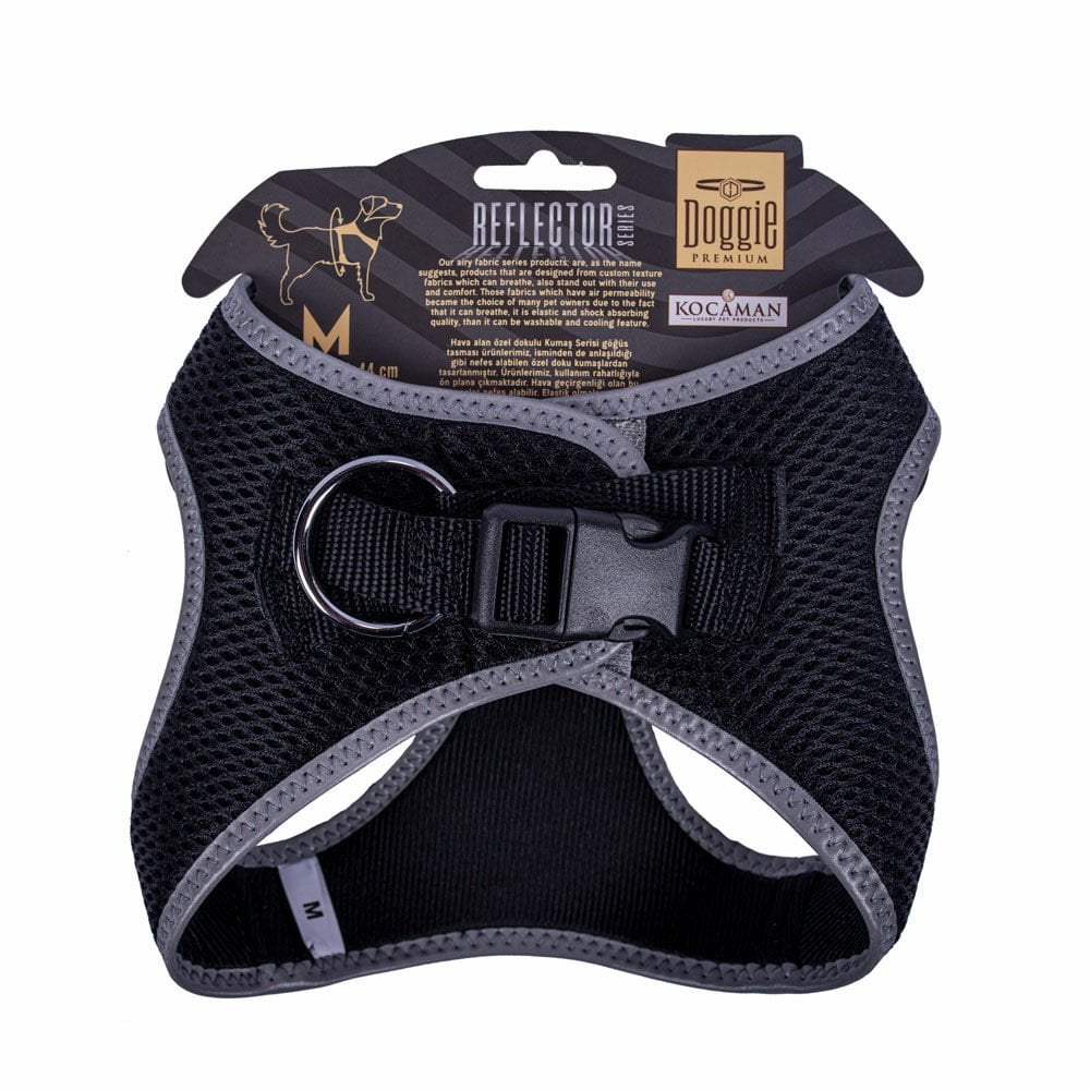 ARGMBLACK-picture2Path