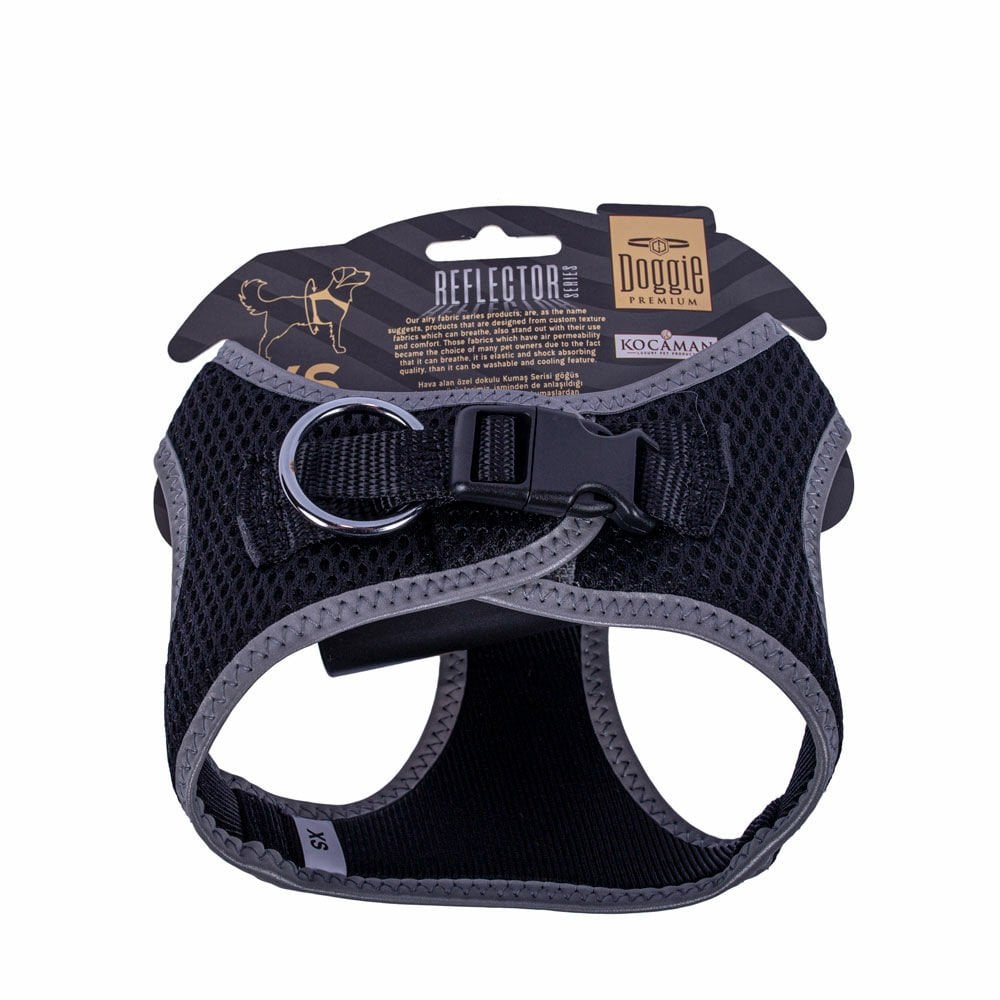 ARGXSBLACK-picture2Path