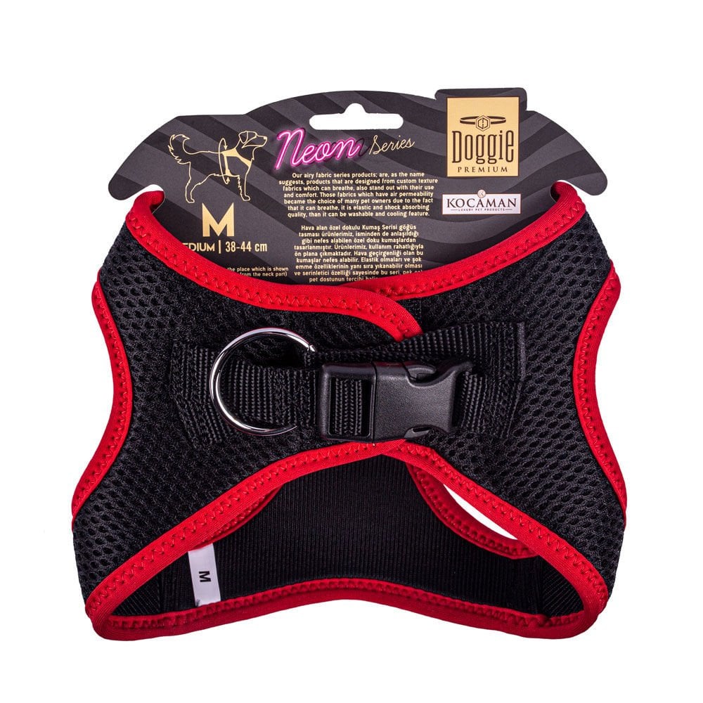 ANGMRED-picture2Path