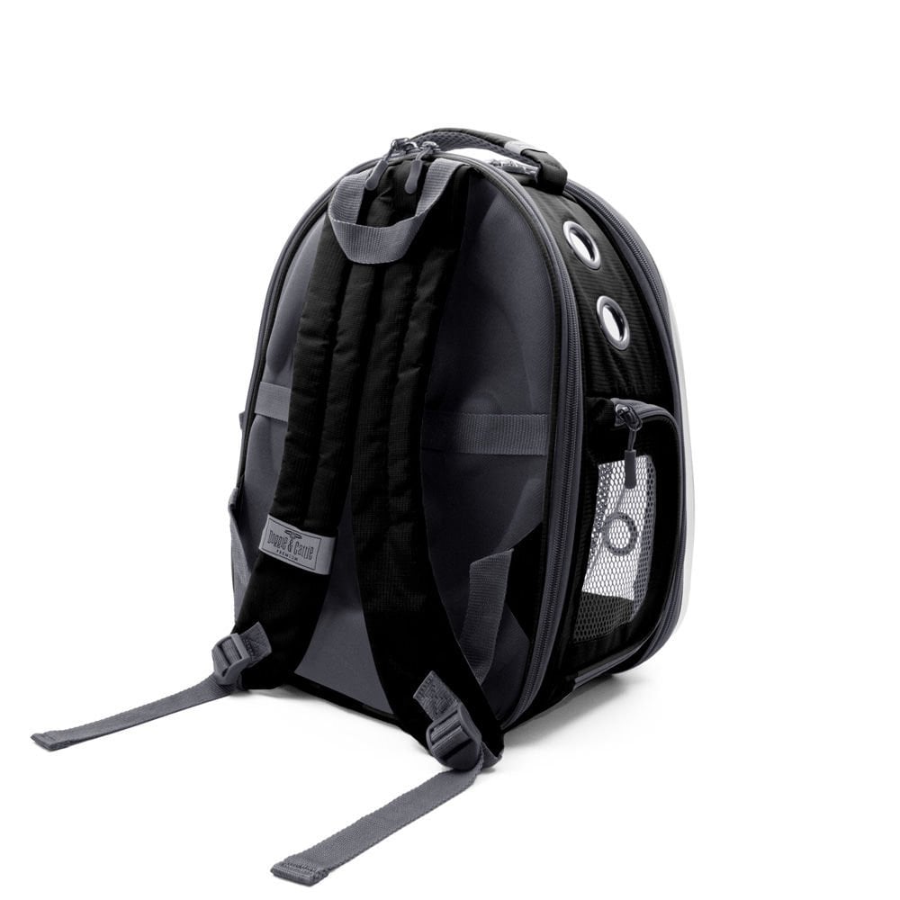 NEWVISIONPLUSBLACK-picture3Path