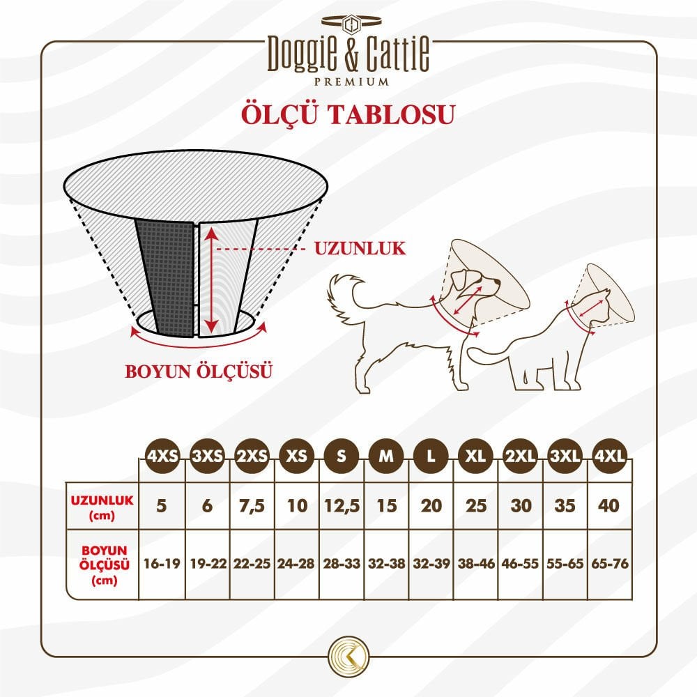 ECOLLARC4XS-picture3Path