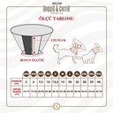 ECOLLARC3XS-picture3Path