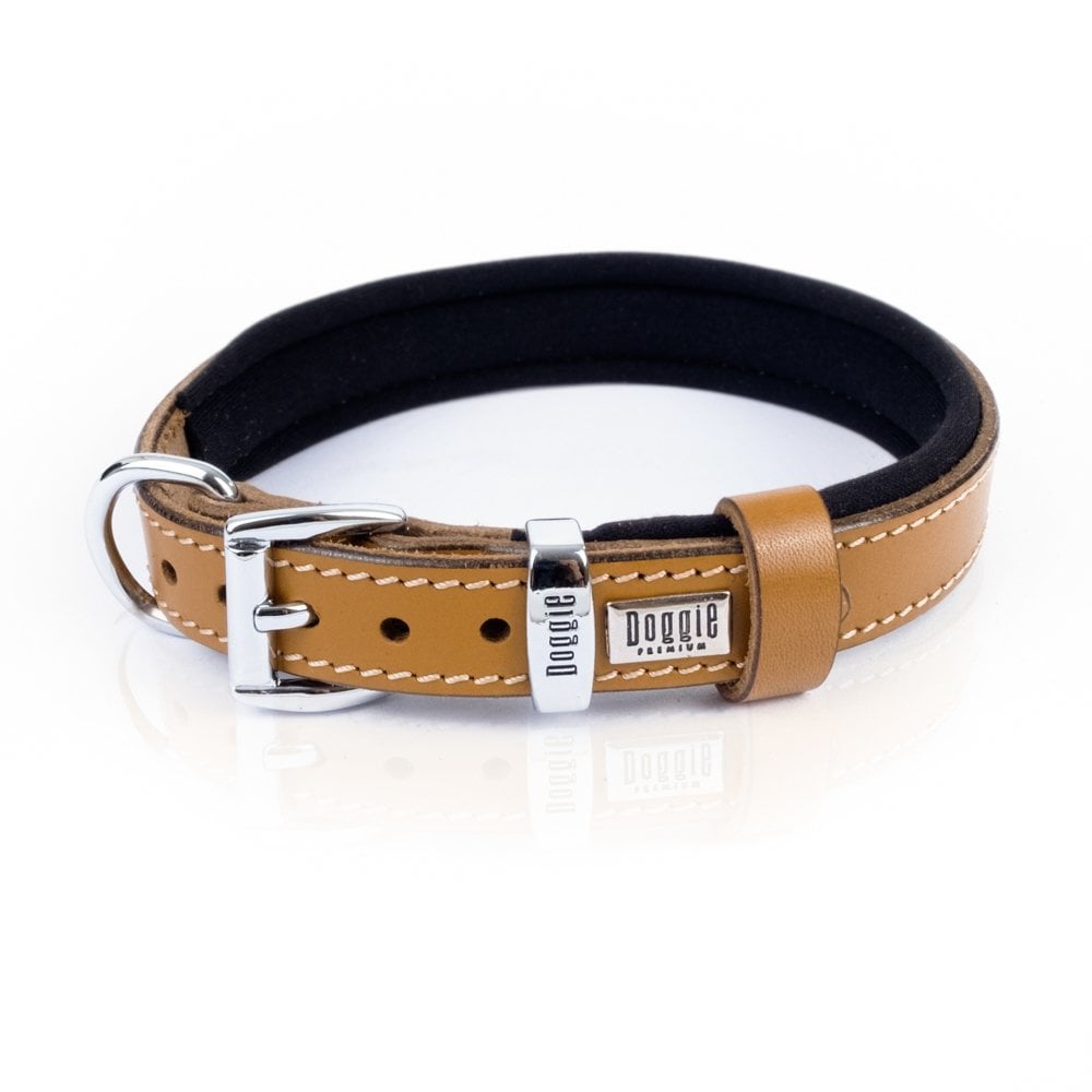 SBT1514SCAMEL-picture4Path