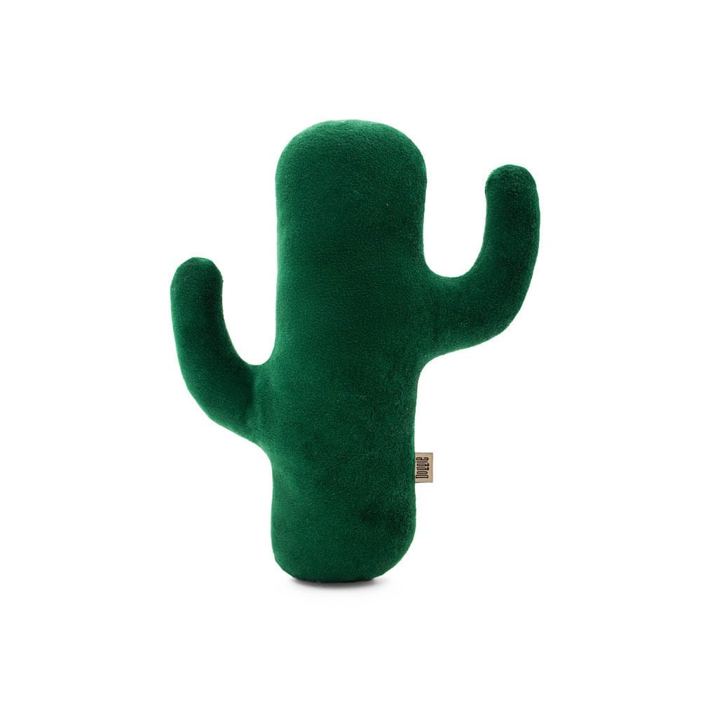 DTOY20KAKTUS-picture3Path