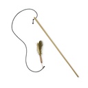 CTOY50OLTATUY-picture2Path