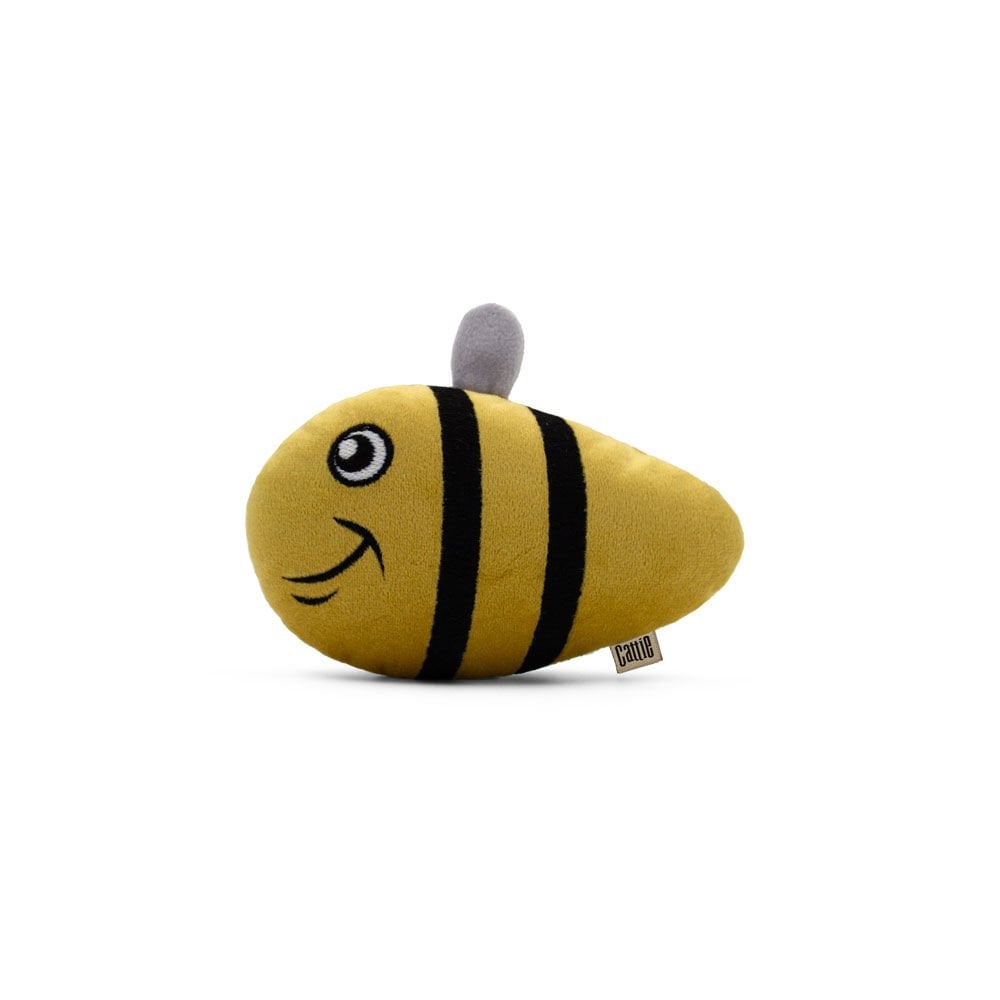 CTOY15ARI-picture3Path