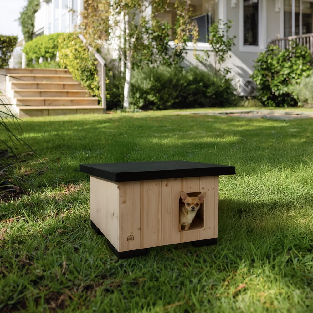 BARKAXS-picture3Path