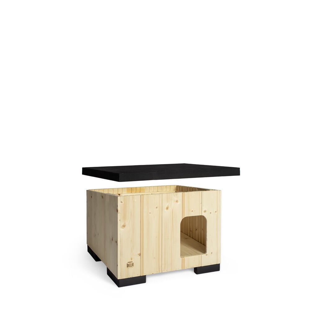 BARKAXS-picture4Path