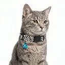ZILPARBLUE(2).webp