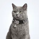 ZILPARCROM(2).webp