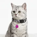ZILPARPINK(2).webp