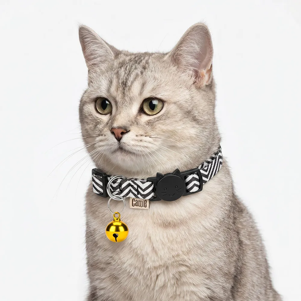 ZILPARYELLOW(2).webp