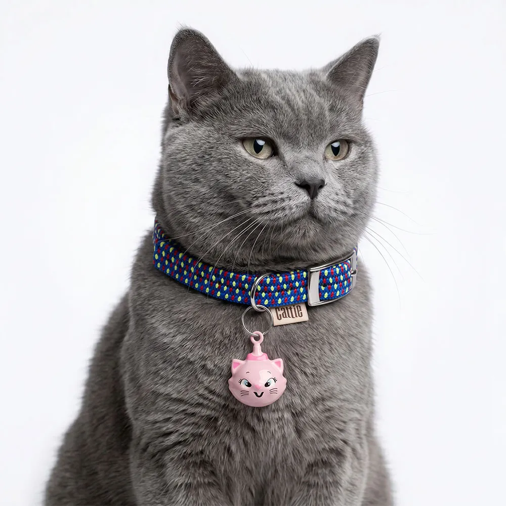 ZILSEVPINK(2).webp