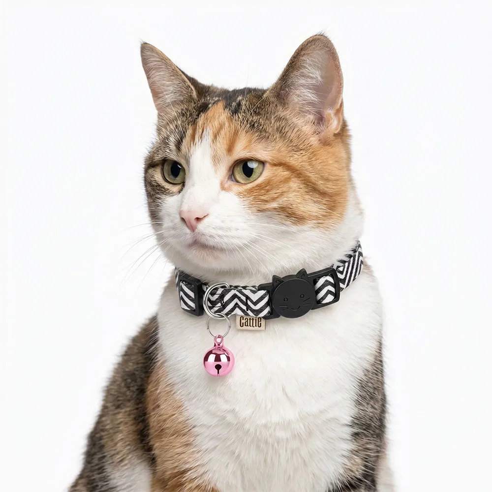 ZILPARPINK(2).webp
